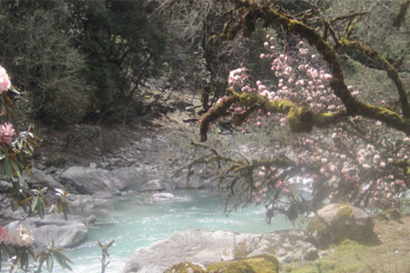 Chisapani Helambu Circuit Trekking