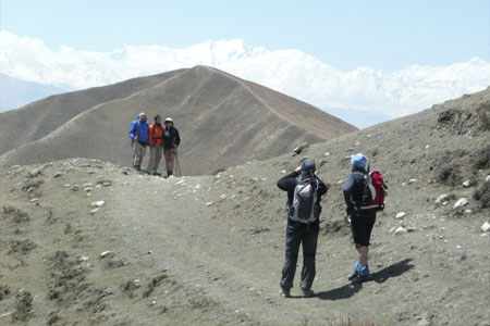 Mustang Circuit Trekking A