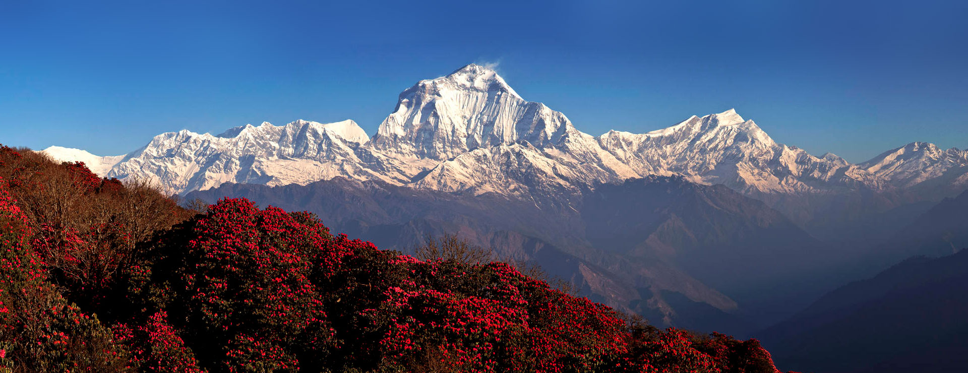 Ghorepani Poon Hill Trek